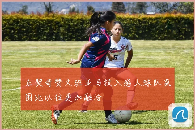 东契奇赞文班亚马投入感人球队氛围比以往更加融洽
