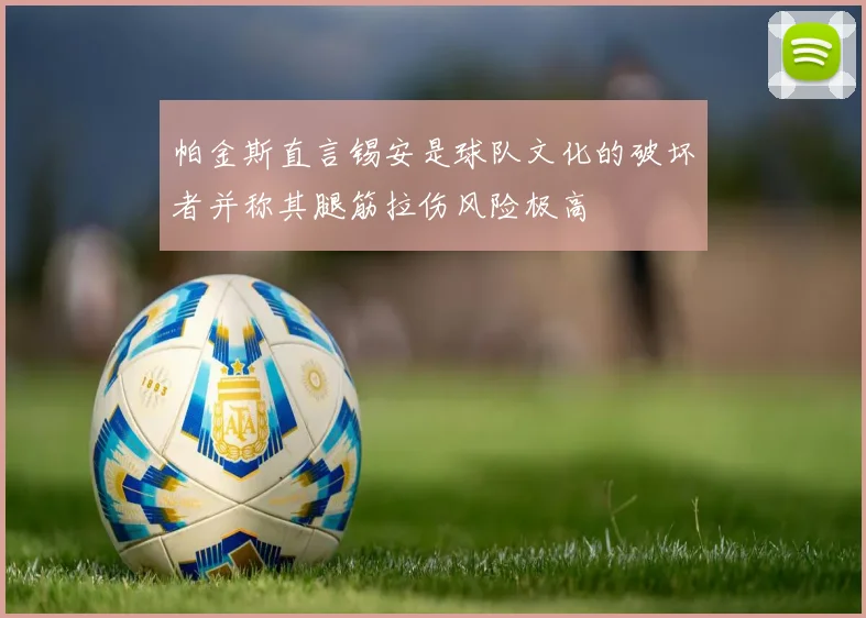 帕金斯直言锡安是球队文化的破坏者并称其腿筋拉伤风险极高