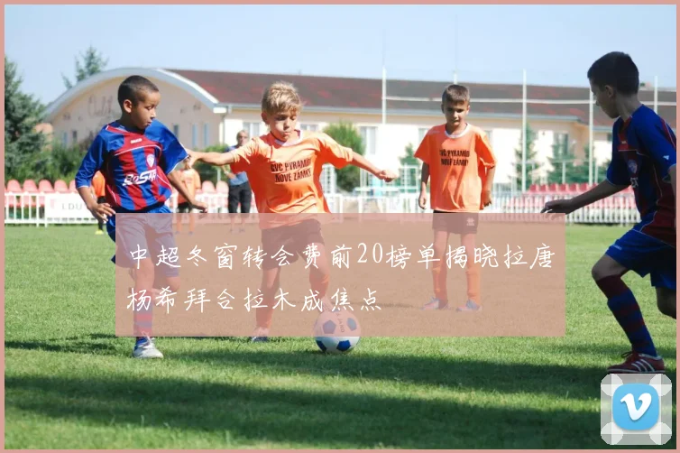 中超冬窗转会费前20榜单揭晓拉唐杨希拜合拉木成焦点